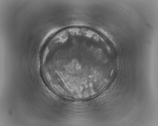 X0000114641408200911171021