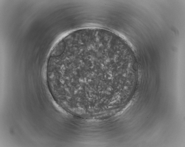 X0000114641421200911171021
