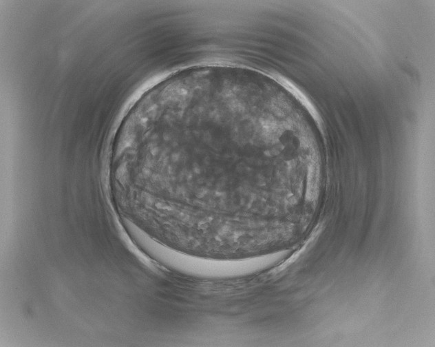 X0000114641437200911171021