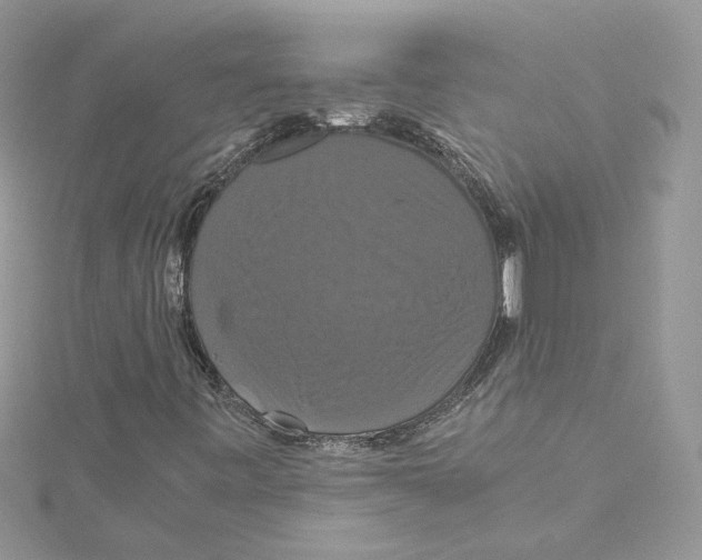 X0000114641443200911171020
