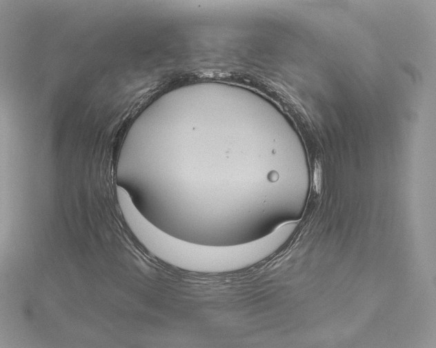 X0000114641444200911171020