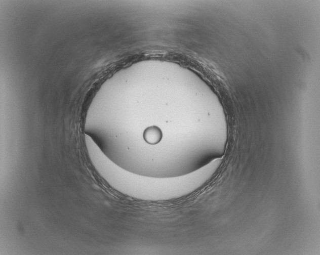 X0000114641445200911171020