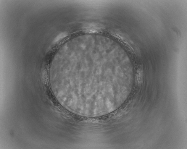 X0000114641446200911171020