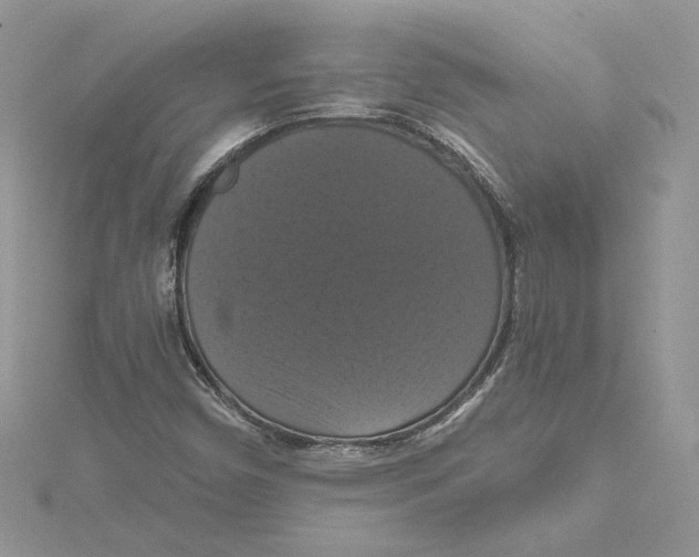 X0000114641450200911171020
