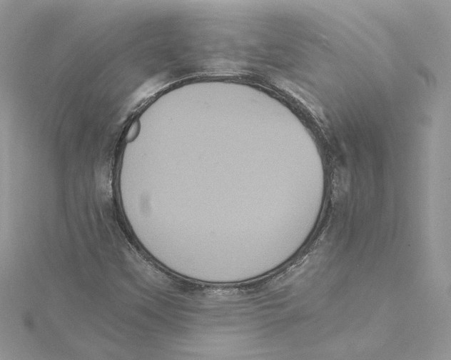 X0000114641451200911171020