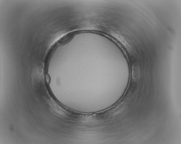 X0000114641452200911171020