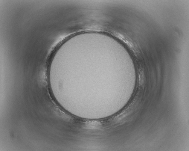 X0000114641454200911171020
