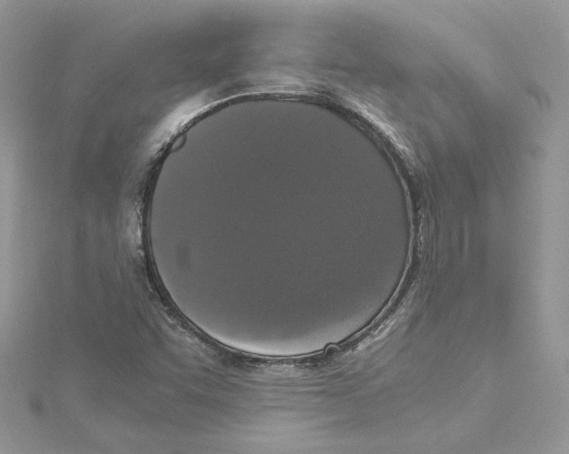 X0000114641455200911171020