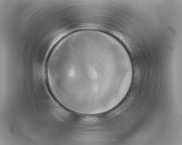 X0000114641466200911171020