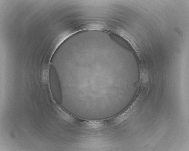 X0000114641473200911171020