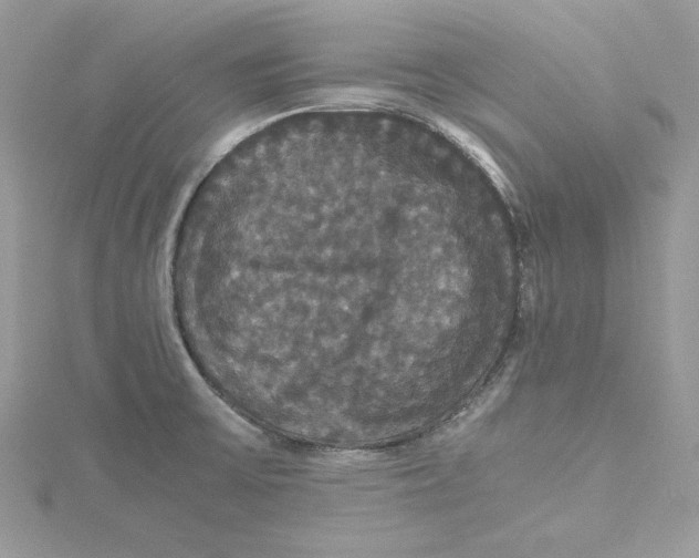 X0000114641475200911171020
