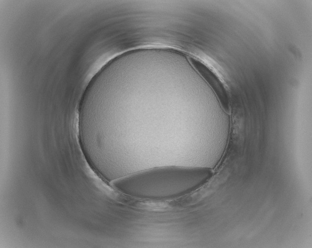 X0000114641476200911171020