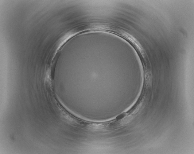 X0000114641481200911171020