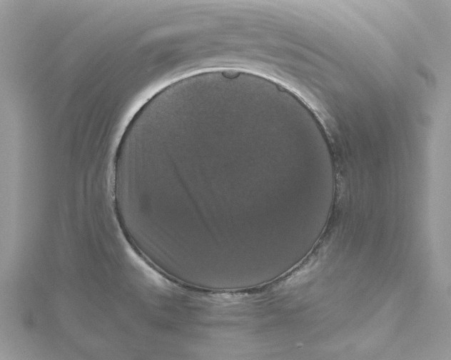 X0000114641527200911171020
