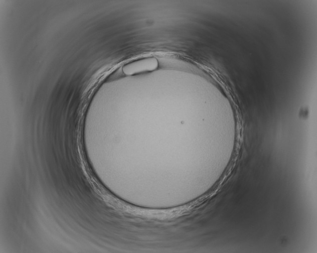 X0000114640001200912011100