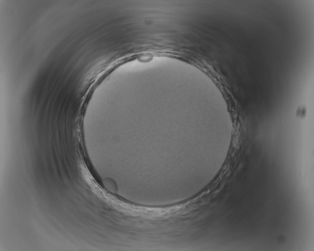 X0000114640002200912011059