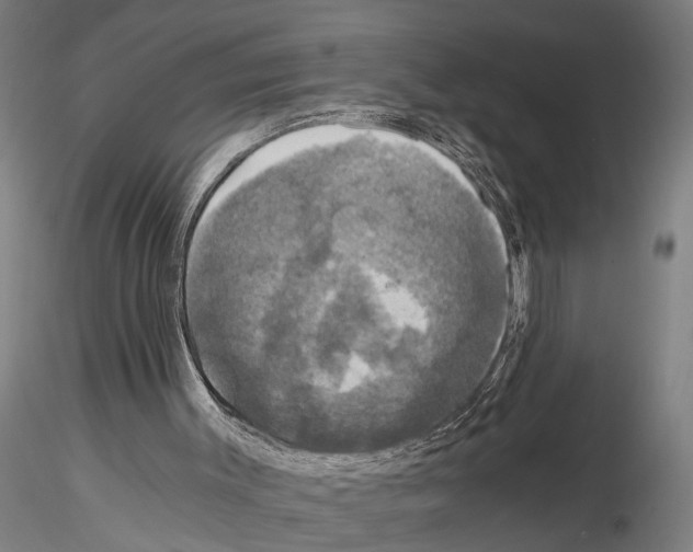 X0000114640003200912011059