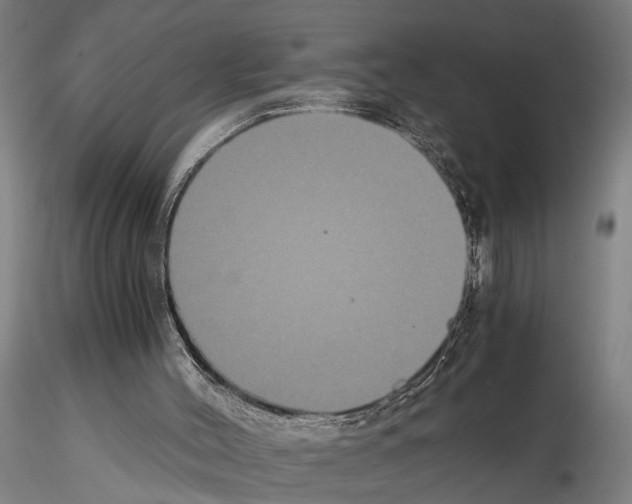 X0000114640004200912011059