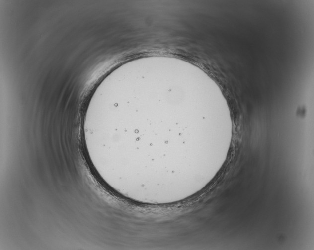 X0000114640005200912011059