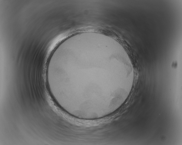 X0000114640006200912011059