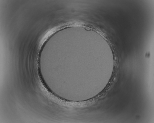 X0000114640007200912011059