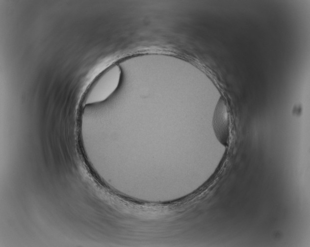 X0000114640008200912011059