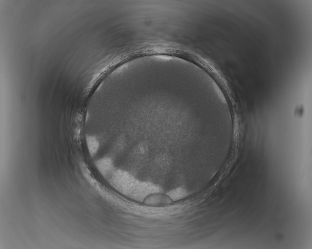 X0000114640010200912011059