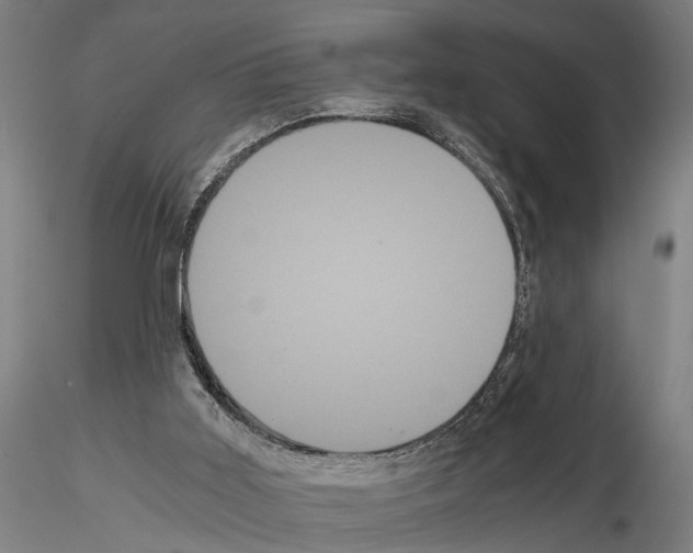 X0000114640011200912011059