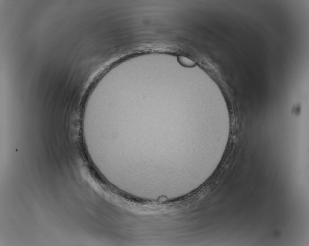 X0000114640012200912011059