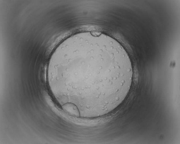 X0000114640014200912011059