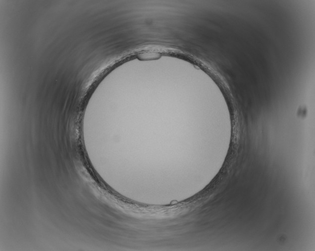 X0000114640015200912011059