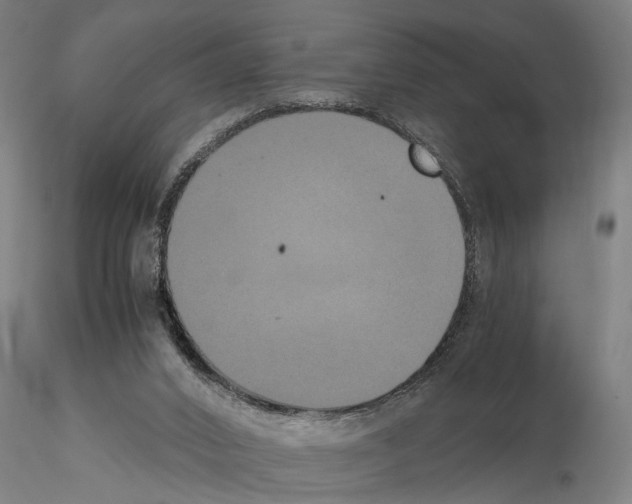 X0000114640016200912011059