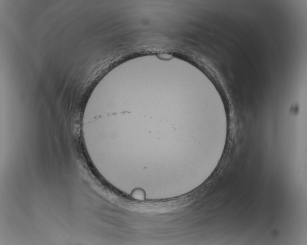 X0000114640017200912011059