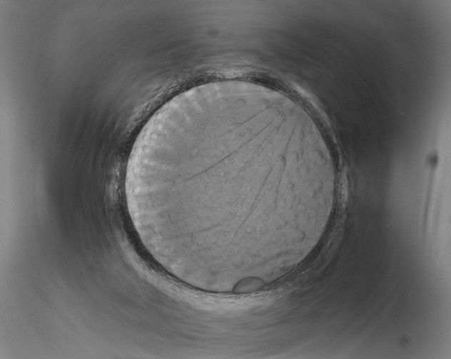 X0000114640018200912011059