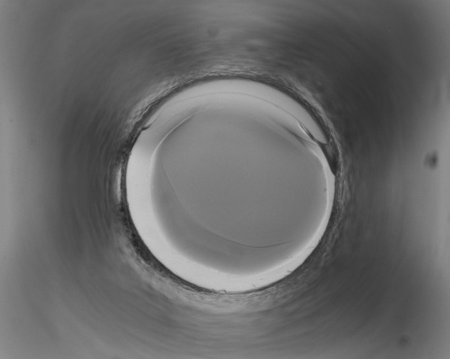 X0000114640019200912011059