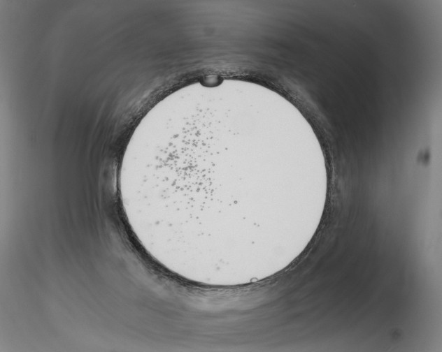 X0000114640021200912011059