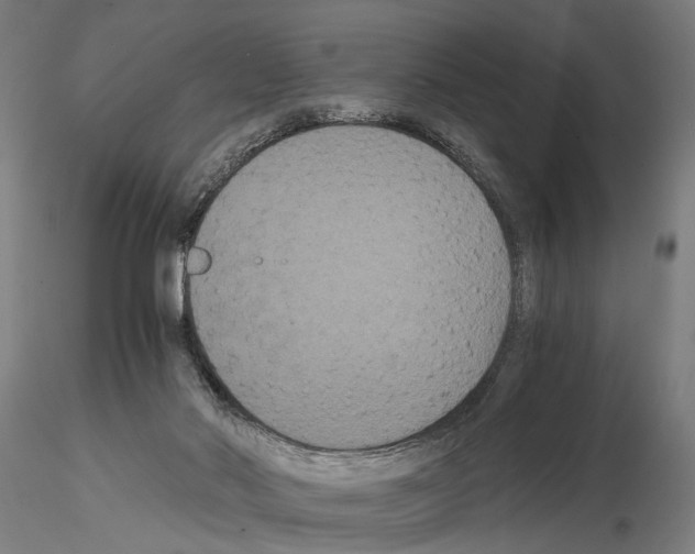 X0000114640022200912011059