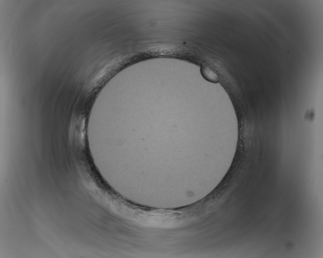 X0000114640024200912011059