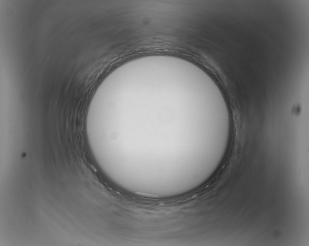 X0000114640025200912011059