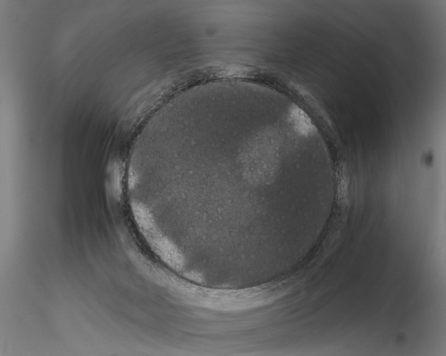 X0000114640026200912011059