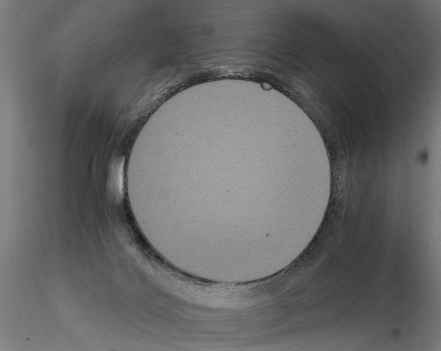 X0000114640028200912011059