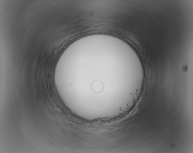 X0000114640029200912011059