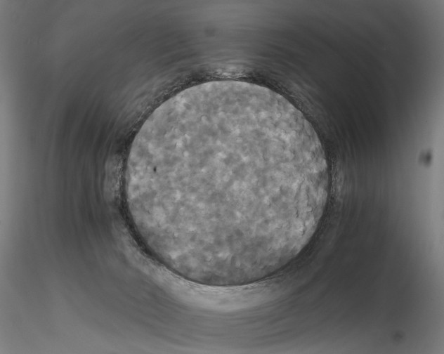 X0000114640030200912011059