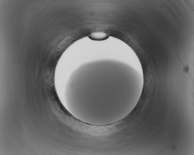 X0000114640031200912011059