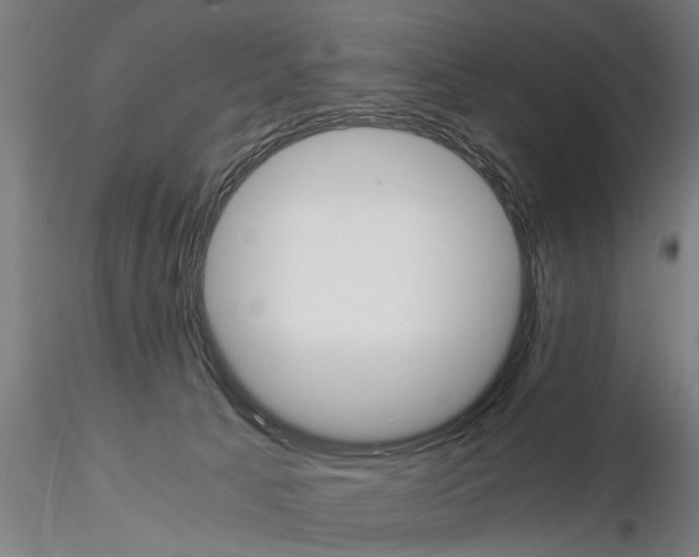 X0000114640033200912011059