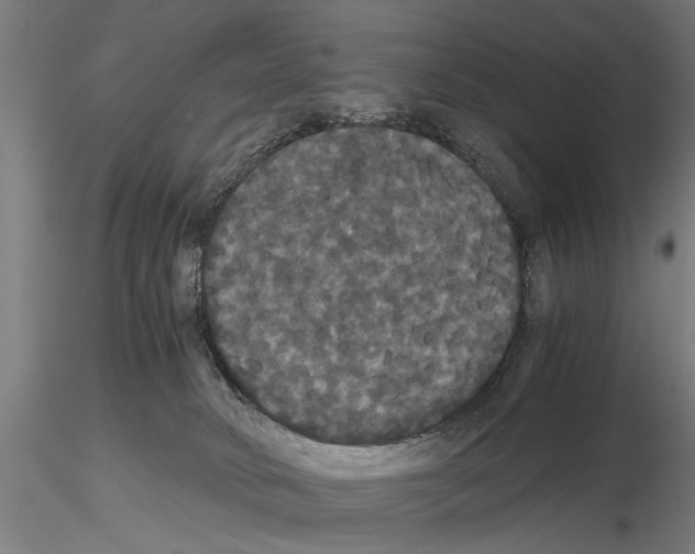 X0000114640034200912011059