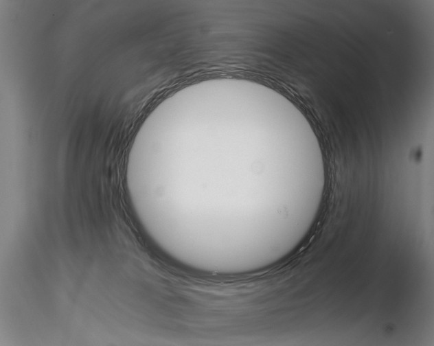 X0000114640037200912011059