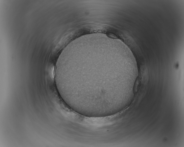 X0000114640041200912011059