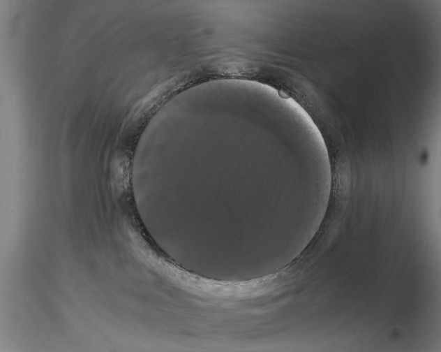 X0000114640043200912011059