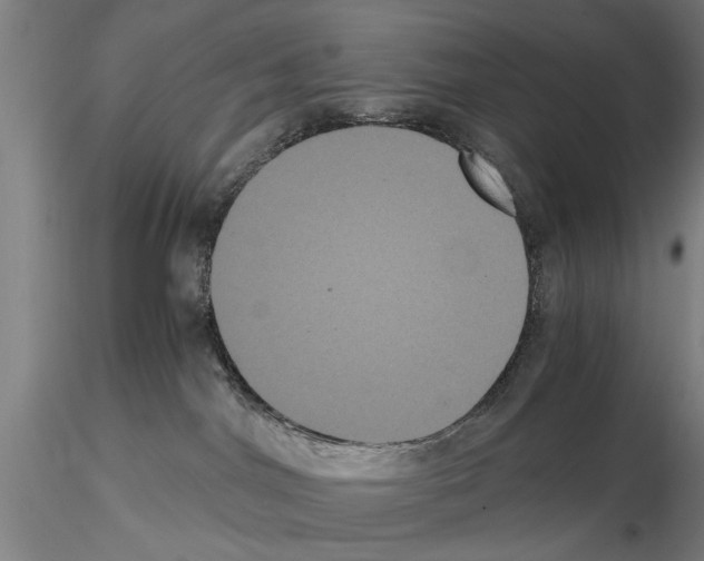 X0000114640044200912011059